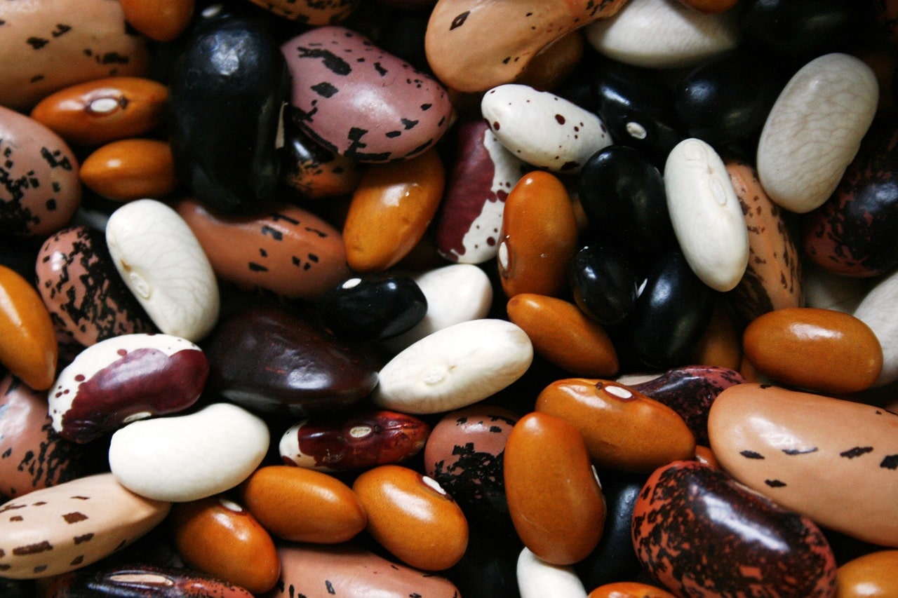 Frijoles de Todo Tipo