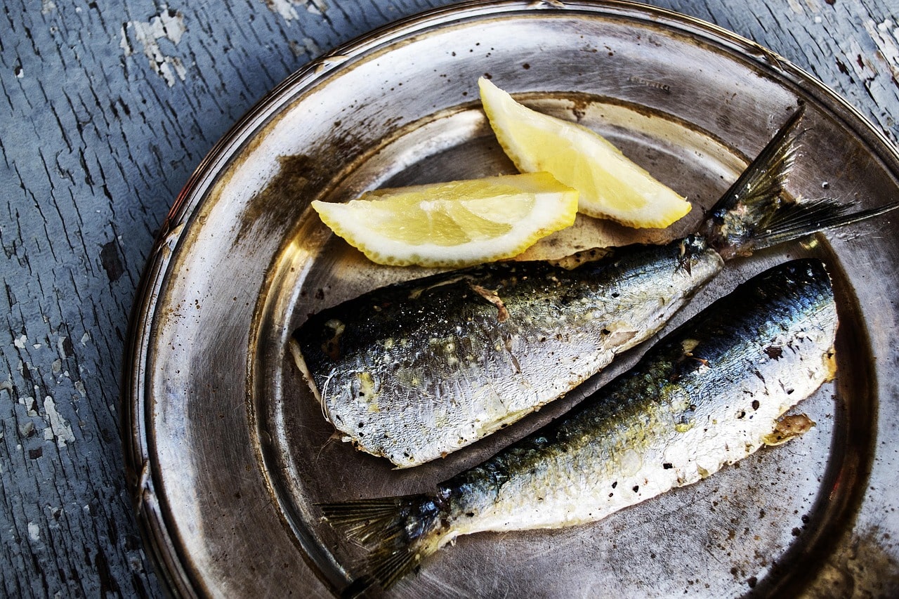 Sardina
